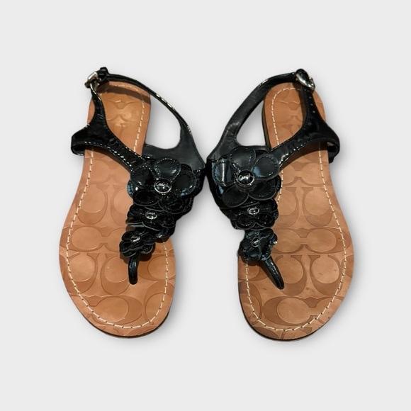 Coach Sandals.  Worn a handful of times.  Size 6.5 - Picture 1 of 3